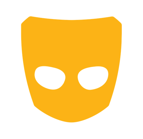 The IronFox logo