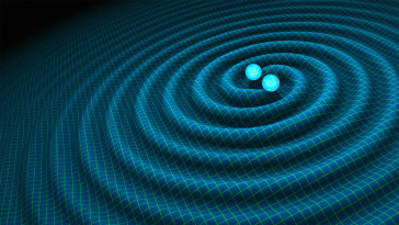 Dutch Black Hole Consortium