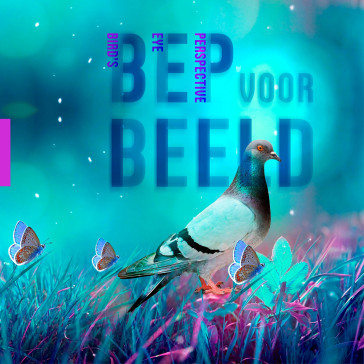 BEP voor Beeld