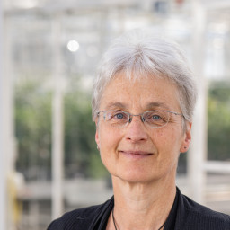 Annet Roodenburg