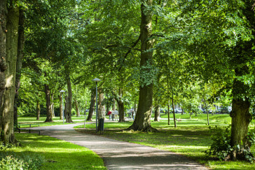 Buitenkansen: Natuur als leeromgeving in het HBO